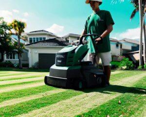 Lawn Care and Yard Maintenance